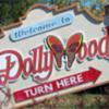 Woman's Pro-Gay Marriage Shirt Deemed Offensive at Dollywood