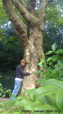 SHOE Member Feature: Tree Hugging (Baumkuscheln) 