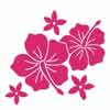 Hawaii's governor vetoes gay civil union bill Hawaii's governor vetoes gay civil union bill